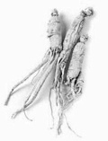Red Ginseng stimuleert spiergroei, vergroot uithoudingsvermogen