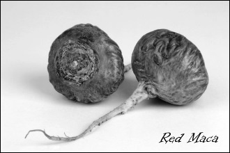 Maca gebruiken? Neem dan red maca