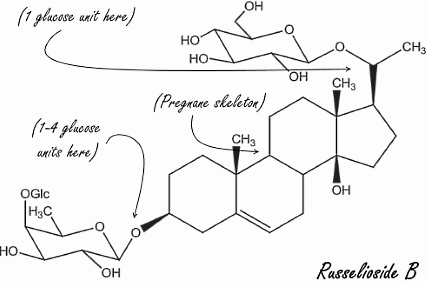 Russelioside-B, een natuurlijk afslanksteroid