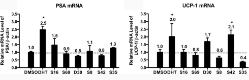 S42, de Japanse afslank-SARM