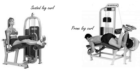 Dit is de beste variant van de leg-curl