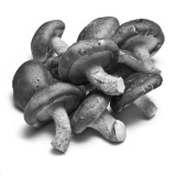 Shiitake remt ontstekingen en toename lichaamsvet