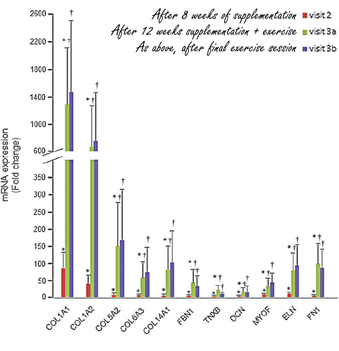 Shilajit activeert biosynthese spiercollageen