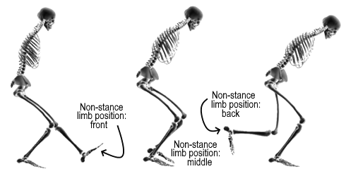 Met deze variant van de single legged squat train je de bilspieren het beste