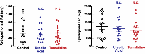 De anabole werking van tomatidine versus die van ursolic acid