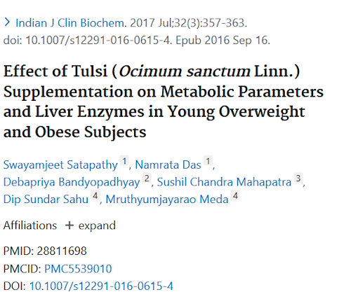 We gaan nog even door over tulsi of Ocimum sanctum. Suppletie met tulsi activeert misschien niet alleen het immuunsysteem maar verbetert volgens een verkennende humane studie ook de manier waarop het lichaam omgaat met glucose en cholesterol.