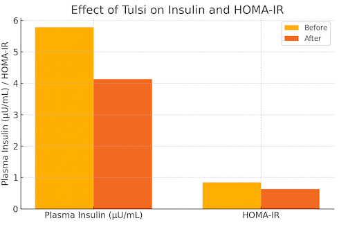 We gaan nog even door over tulsi of Ocimum sanctum. Suppletie met tulsi activeert misschien niet alleen het immuunsysteem maar verbetert volgens een verkennende humane studie ook de manier waarop het lichaam omgaat met glucose en cholesterol.