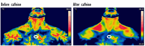 Na een kop koffie produceren je bruine vetcellen meer warmte
