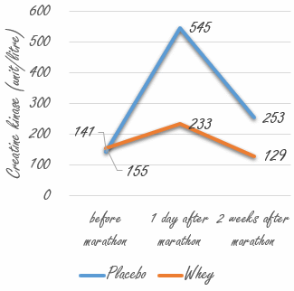 Marathonlopers herstellen sneller door suppletie met whey