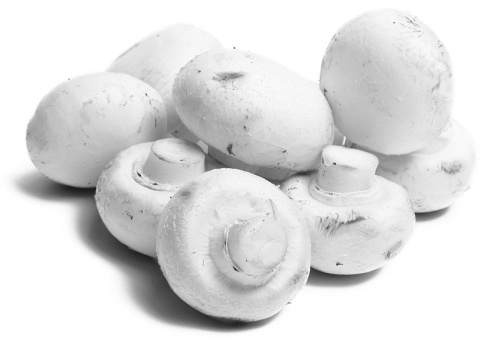 Hoe champignons misschien de angel halen uit diabetes en veroudering vertragen