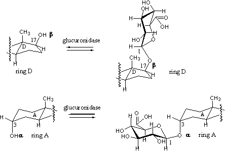 Schema 10