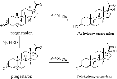 Schema 2
