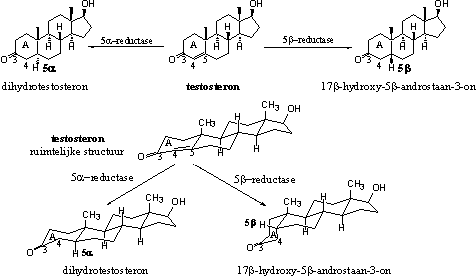 Schema 6