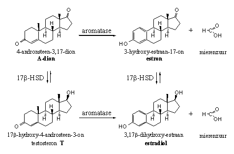 Schema 2