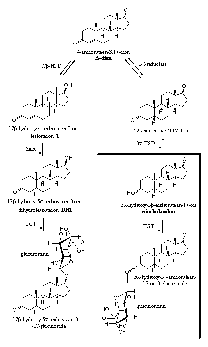 Schema 4