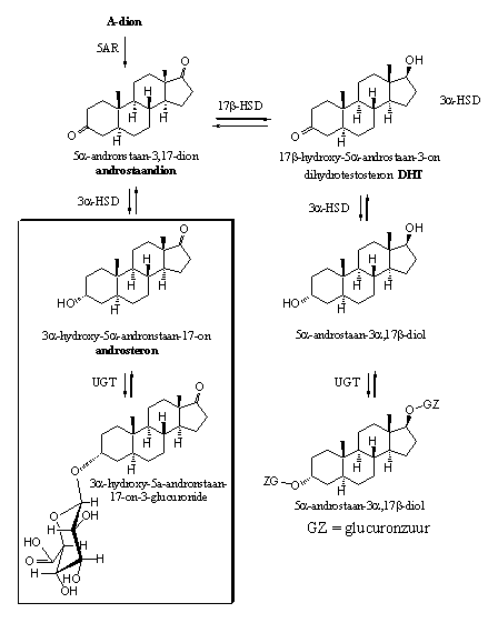 Schema 5
