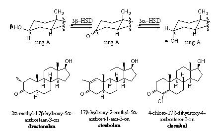 Schema 3