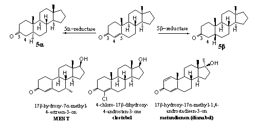 Schema 4