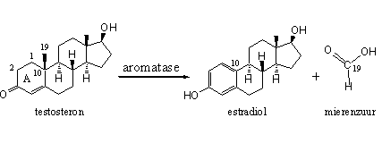 Schema 1