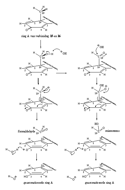 Schema 5