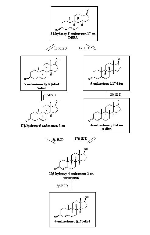 Schema 1