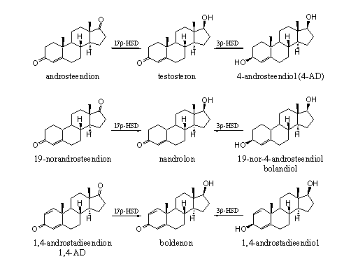 Schema 7