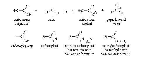 Schema 1