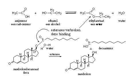 Schema 2