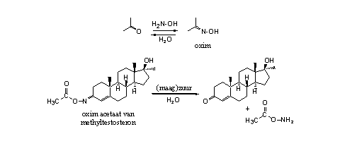 Schema 6
