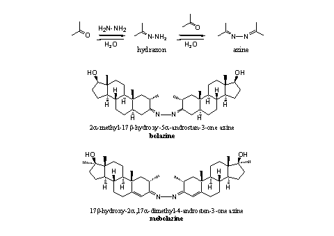 Schema 7
