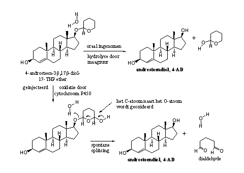 Schema 3