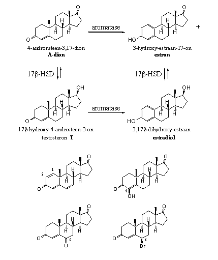 Schema 1