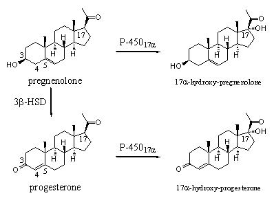 Scheme 2