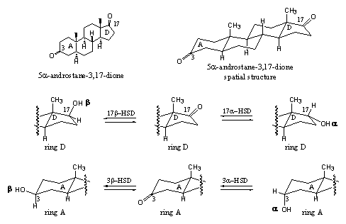 Scheme 4