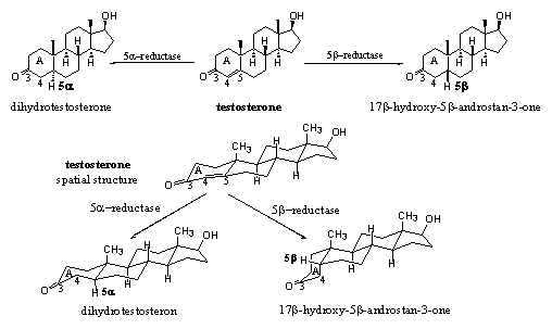 Scheme 6