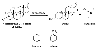 Scheme 7