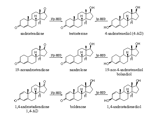 Scheme 7