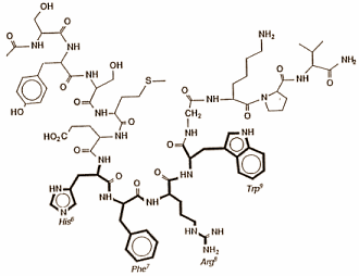 Overdosis Melanotan-II breekt spieren af