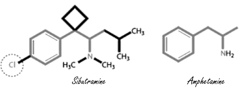 Afvallen met sibutramine gaat sneller met L-carnitine
