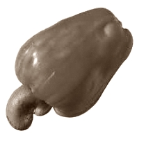 Duursporters die cashew-apple-sap drinken gaan zuiniger om met hun koolhydraten