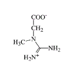 Een combinatie van Astragalus, Ginseng en creatine werkt beter dan creatine alleen. Dat ontdekten bewegingswetenschappers van Wichita State University toen ze een gepatenteerd supplement met creatine, Astragalus membranaceus, Koreaanse en Amerikaanse Ginseng aan 55-plussers gaven, en die lieten trainen met gewichten.