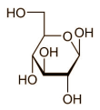 Glucose