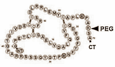 PEG-IGF-1