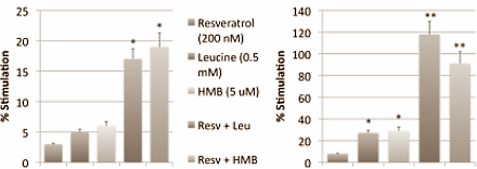 Combinatie van resveratrol en leucine verhoogt vetverbranding