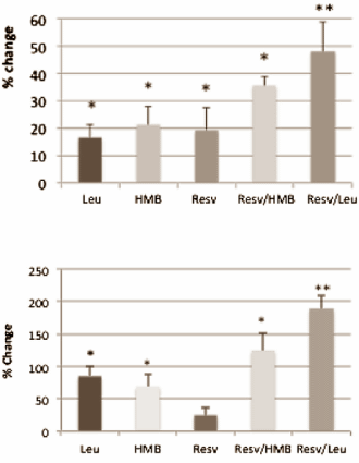 Combinatie van resveratrol en leucine verhoogt vetverbranding