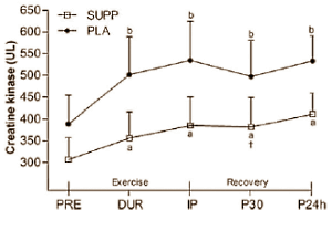 Het gecombineerde effect van een pre-workout-, een workout- en een post-workout-supplement