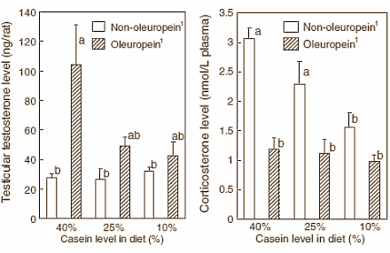 Oleuropein verhoogt testosteronspiegel, verlaagt afgifte cortisol, stimuleert anabolisme